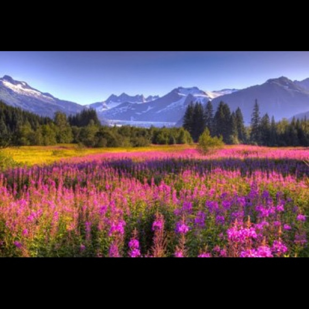 Meet your Posher, Valerie